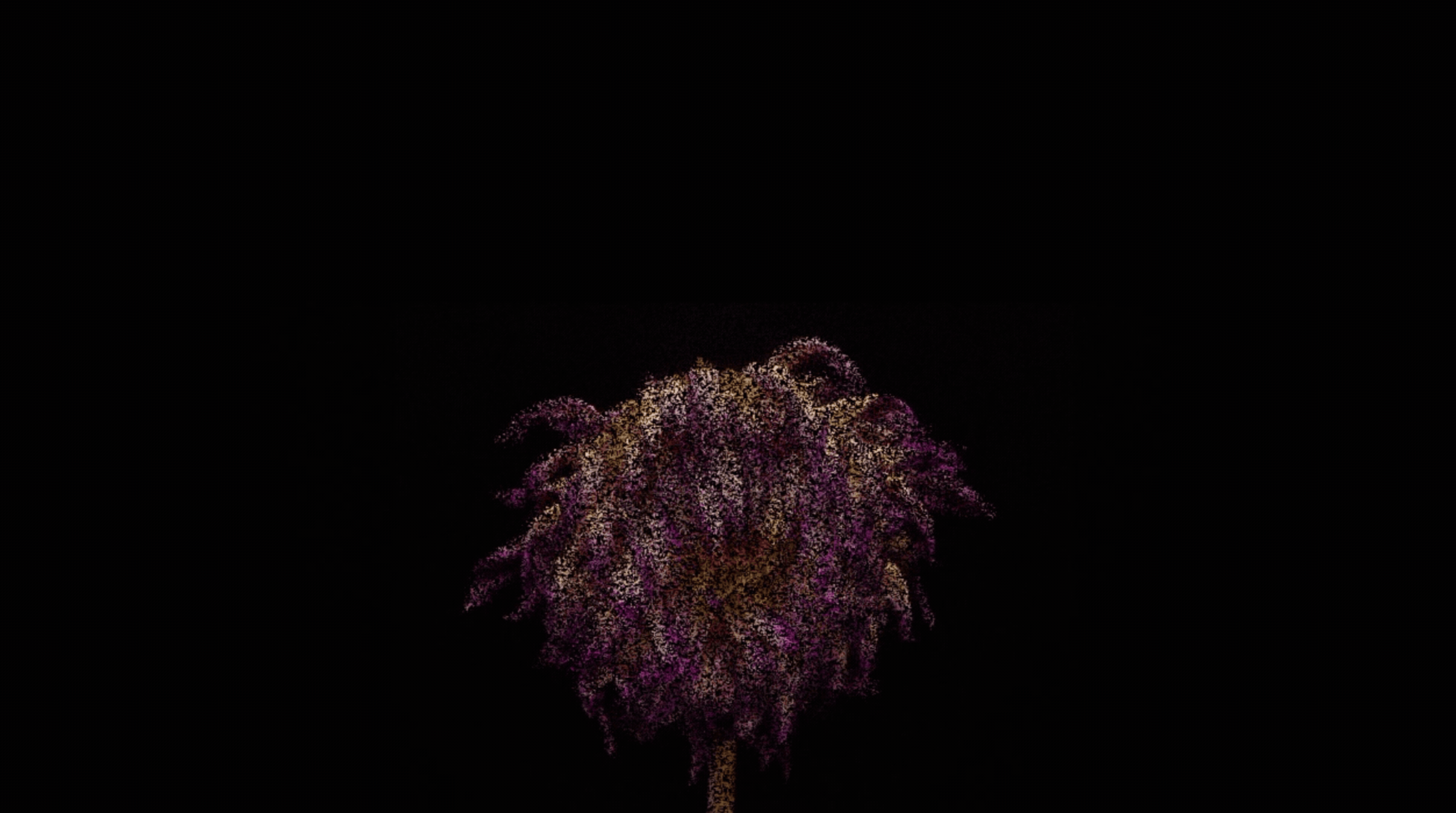 In Your Care &mdash; installation still